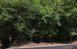 Wilderness Road, Greenbrier, AR 72058