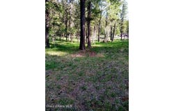 405 Shady Ln, Wallace, ID 83873