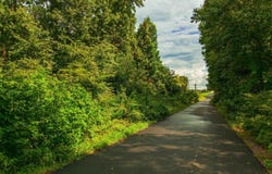 Saylor Rd, Lonoke, AR 72086