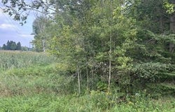 V/L VAN, LEVERING, MI 49755