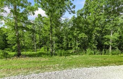Restore Ridge lot: 18, Harrison, AR 72601