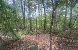 MOHAWK TRAIL, OHATCHEE, AL 36271