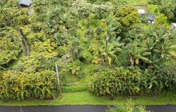 MAILE ST, Pahoa, HI 96778
