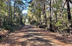 82 River Oaks Drive, Hemphill, TX 75948