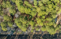 Lamprey Road, Broken Bow, OK 74728
