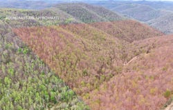 Dryfork Road, Helton, KY 40840