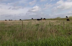 Tract C E 4500 RD, Morrison, OK 73061