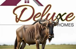 3937 Wildebeest Way, San Angelo, TX 76901