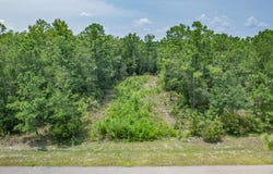 Old Palmetto Path, St Marks, FL 32355