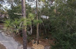 W SEVENTH Avenue, UMATILLA, FL 32784