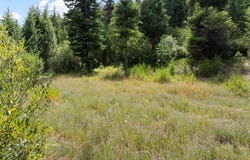 1925 Castle View Drive, Victor, MT 59875