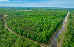 Sand Plant Rd., Nichols, SC 29581