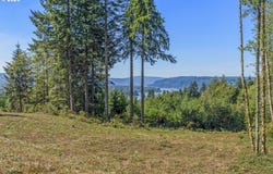 Old Tree Farm Dr, Longview, WA 98632