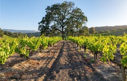 3750 W Highway 46, Templeton, CA 93465