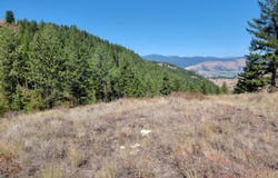 LONE RANCH RD, DANVILLE, WA 99121