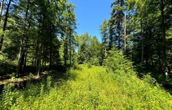 15 Carleton Pnd Rd, Camden, NY 13316