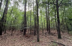 Airport Rd, Bastrop, LA 71220