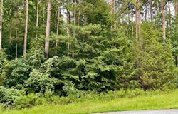 1012 Sally White Rd Ext, Hodges, SC 29653