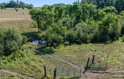 tbd 40 acre State 210, Pillager, MN 56473