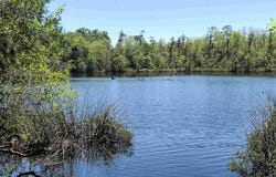 4611 Gunter Rd, Milton, FL 32570