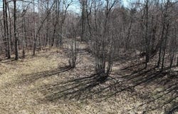 Highway 35, Danbury, WI 54830