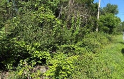 Sutton Road, Warwick, NY 10990