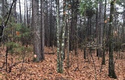 Mountain Ranch Drive, Fairfield Bay, AR 72088