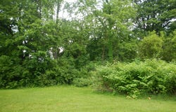 105 Hilltop Lane, Cassopolis, MI 49031