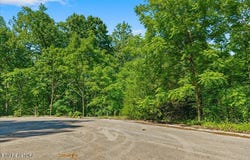 Elm LOT 19 Lane, Sweetwater, TN 37874