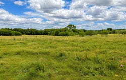 1444 County Road 218, Gainesville, TX 76240