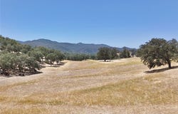 49460 Sapaque Road, Bradley, CA 93426