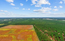 River Bend Rd., Loris, SC 29569