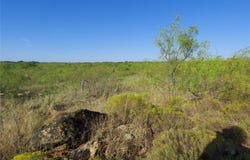 HWY 81, Ringgold, TX 76261