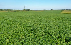 County Rd 22, Houston, MN 55943