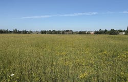 S Manila Rd, Pickford, MI 49774