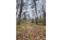 2093 Scott Road, Lindley, NY 14858