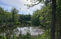 Front Street, Pine River, MN 56474
