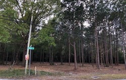 Moffett Road, Wilmer, AL 36587