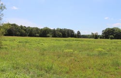 4025 Dave Ward Drive, Conway, AR 72034