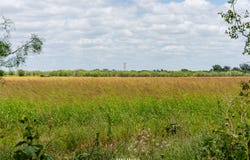 Private Lane, Hawley, TX 79525