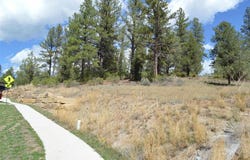 89 Wild Chives Ct., Durango, CO 81301