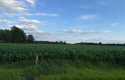Oakland Rd, Bethel, OH 45106