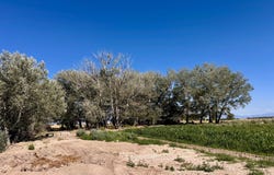 6000 W 200 S, Delta, UT 84624