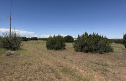 20 County Road 5203, Concho, AZ 85924