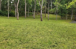 3237 GREEN Road, WHITE HALL, MD 21161