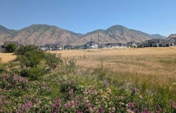 209 N 800 W, Mapleton, UT 84664