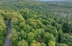 Wood Yard Crossing lot: 7, Pittsburg, NH 03592