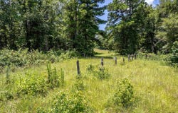 Star Mountain lot: 71, Winona, TX 75792