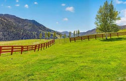 213 Little Salmon Overlook, Pollock, ID 83547
