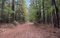 W 16th St., Smackover, AR 71762